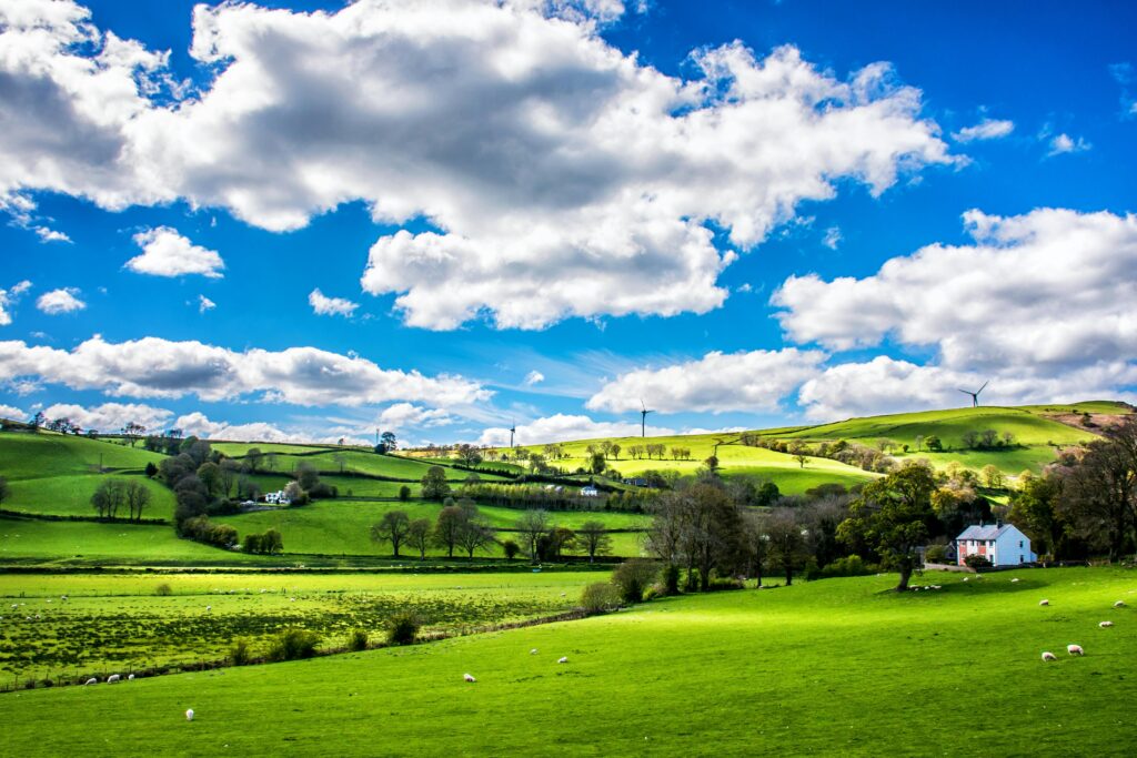 Scenic countryside landscape with green rolling hills, sheep, and a farmhouse under a vibrant blue sky.
